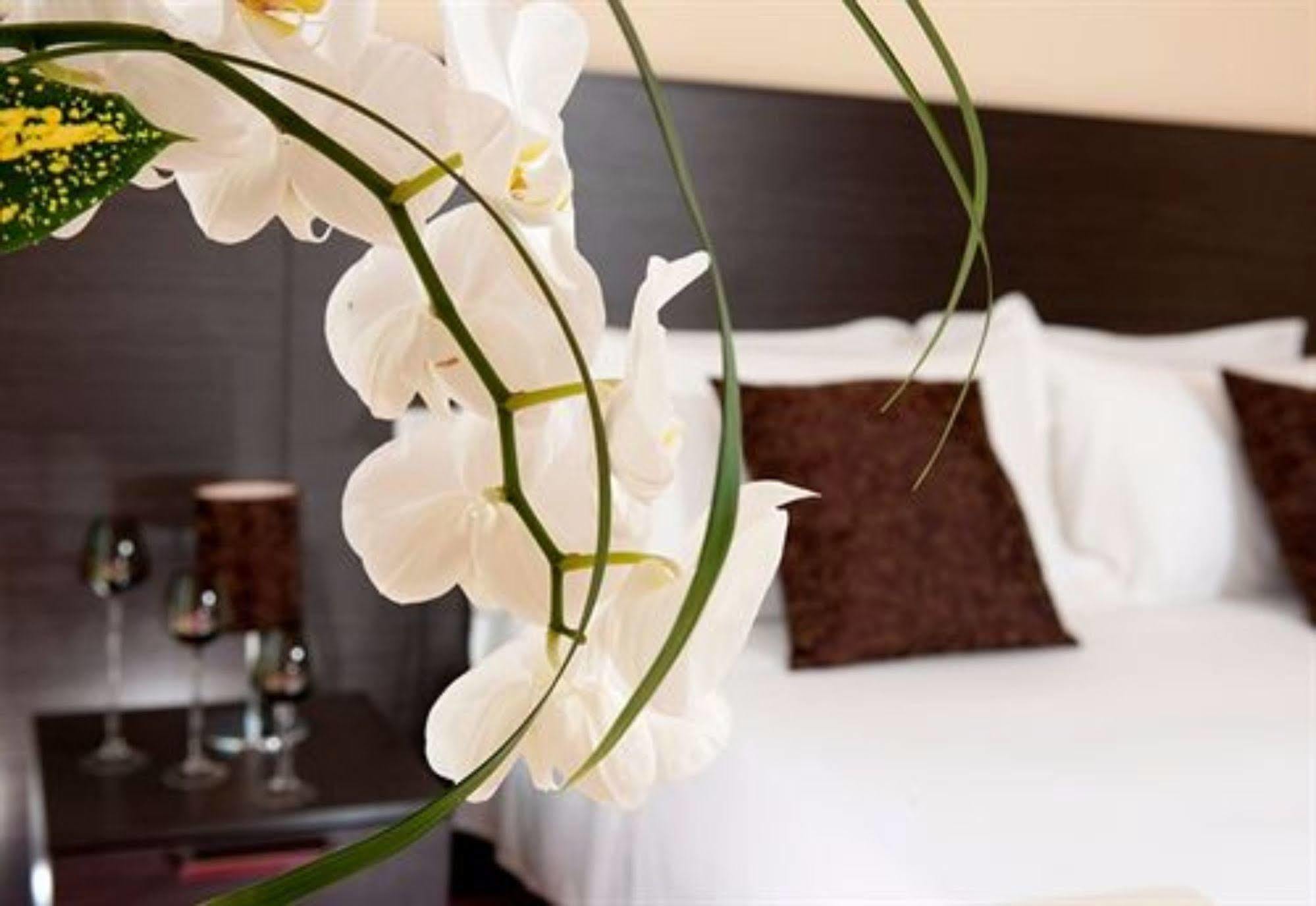 מיסאנו אדריאטיקו Park Hotel Kursaal מראה חיצוני תמונה